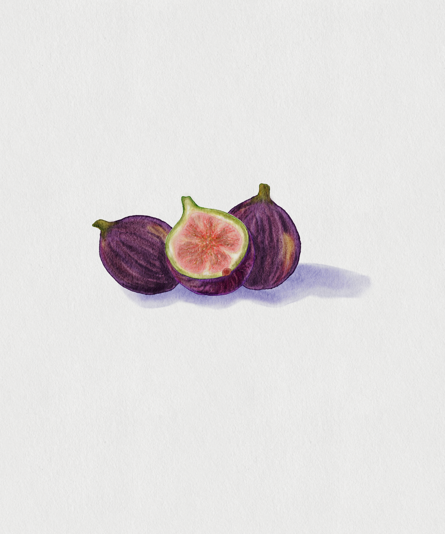 Figs Print
