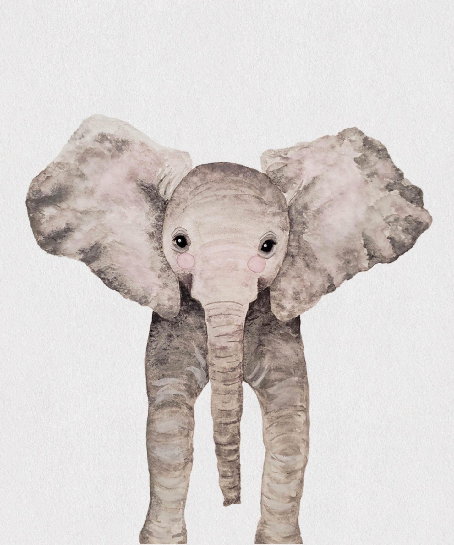 Three Pack - Animal Prints